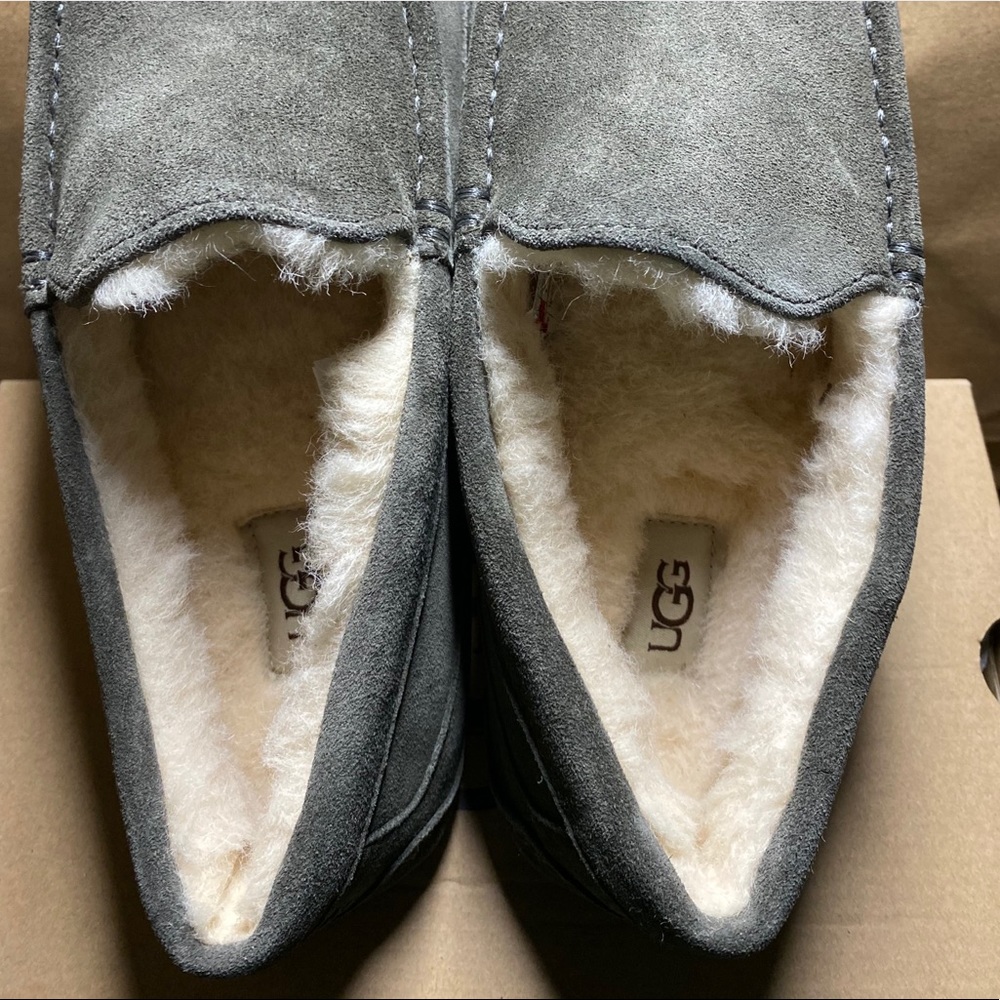 Men UGG Ascot Slippers